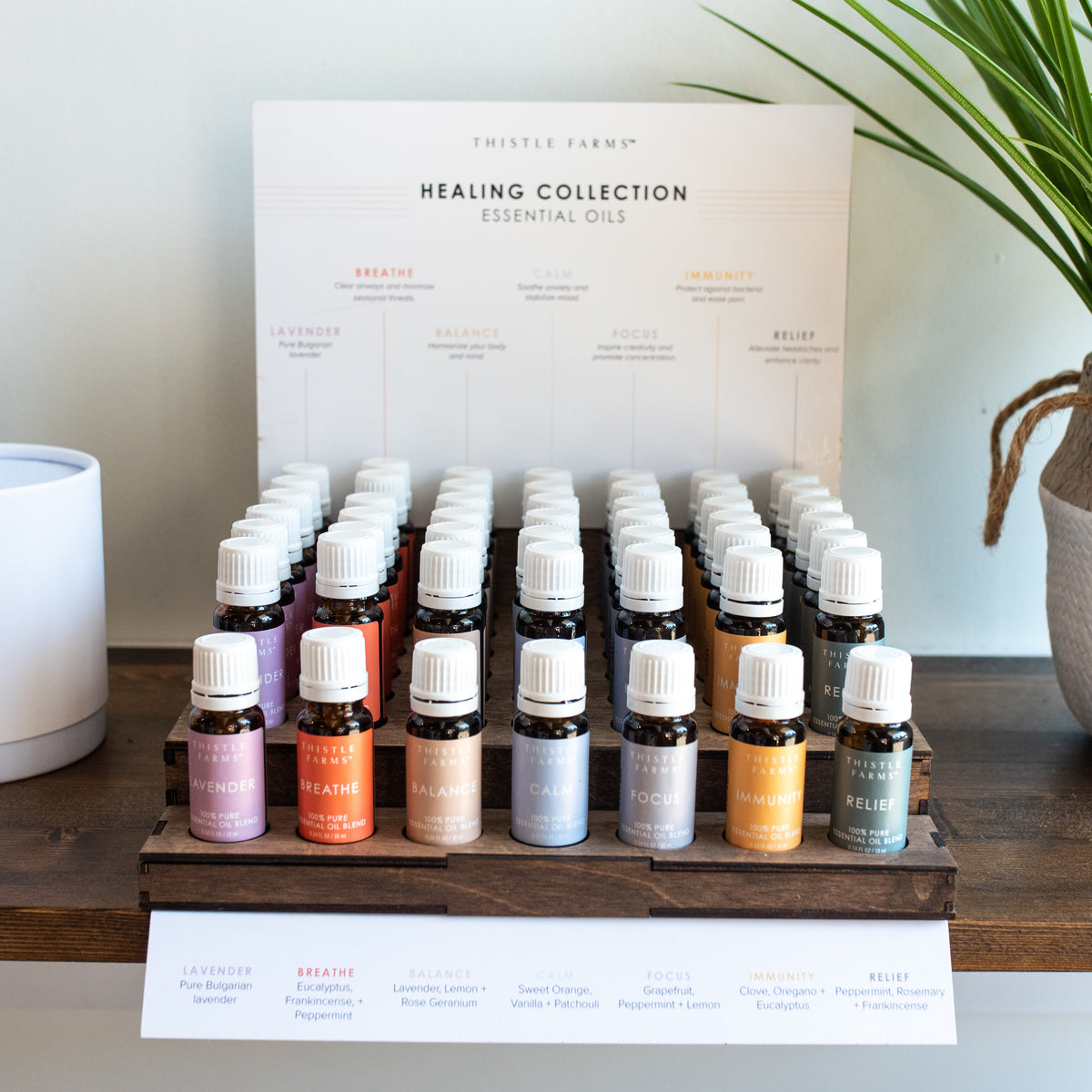 Essential Oil Concentrate Display