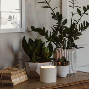 Healing Oil Candle Collection Package